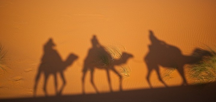 Kameltrekking Wüste