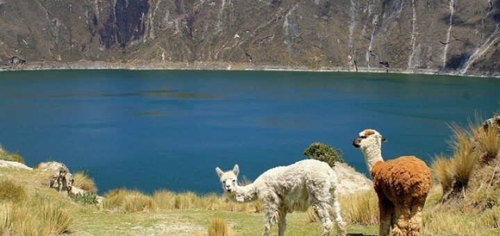 Ecuador Reisen 2022, Südamerika