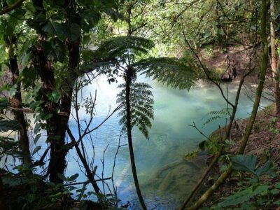 Costa Rica Reise mit Regenwald der Österreicher