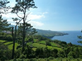 Reisen auf die Azoren Inseln und Rundreise auf Pico