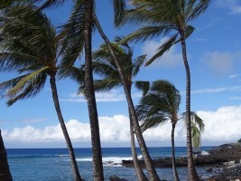 Hawaii Hotels