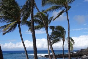 Hawaii Mietwagenreisen, Selbstfahrer Reisen