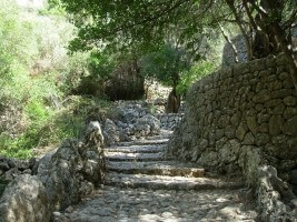 Mallorca Naturreisen, Steinwege