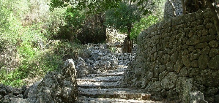 Mallorca Naturreisen