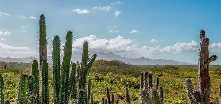 Venezuela Wandern