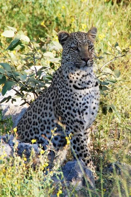 Namibia Familiensafari, erlebnisreisen