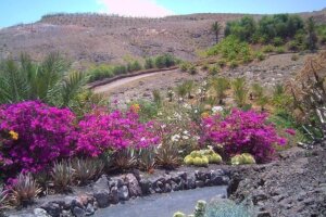 Fuerteventura Reiseangebote 2022, 2023 Pauschalreisen