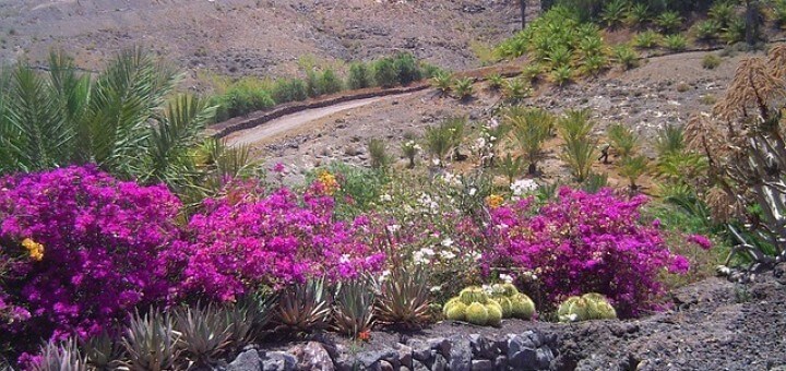 Kanaren Fuerteventura