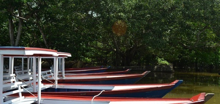 Brasilien Amazonas Reise