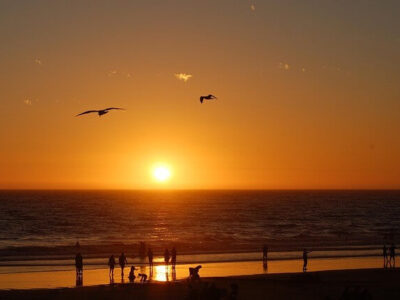 Autoreisen USA 2026 Selbstfahrer Reisen Auto