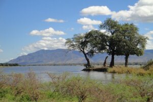 Malawi, Sambia Kombireise Südluangwa-Nationalpark