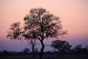 Zimbabwe Reisen 2024 buchen, Simbabwe Erlebnisreisen