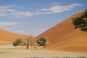 Namiba Reise Kleingruppe Studienreise geführt