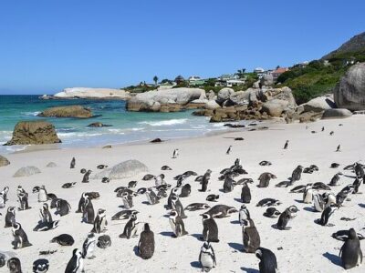 Südafrika Reise Fair Trade zertifiziert