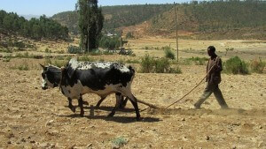 Äthiopien Rundreisen ab Addis Abeba